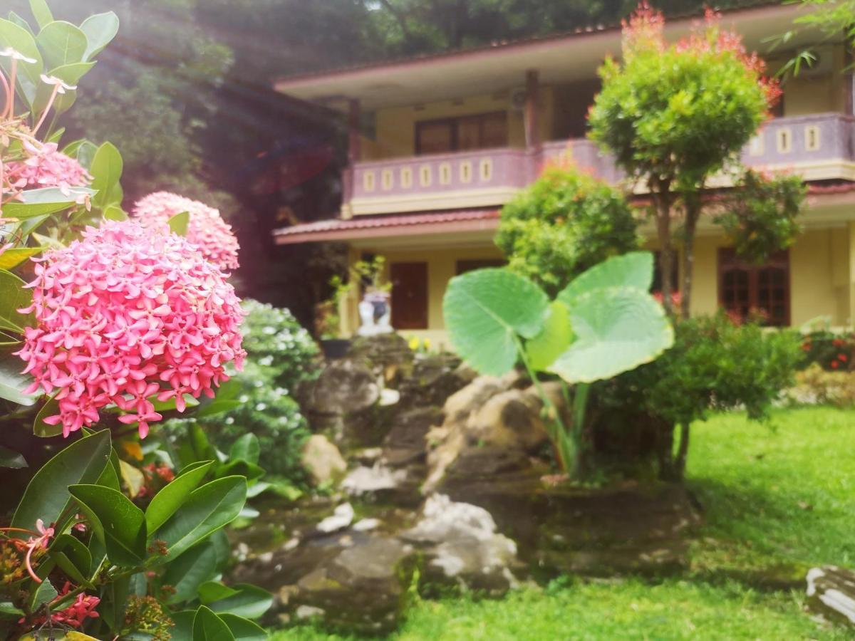Wisma Leuser Sibayak Bukit Lawang Exterior photo